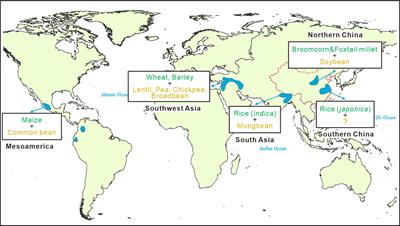 Coupled and decoupled legumes and cereals in prehistoric northern and southern China